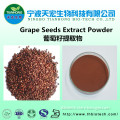GMP natural grape seed extract/grape seed extract powder